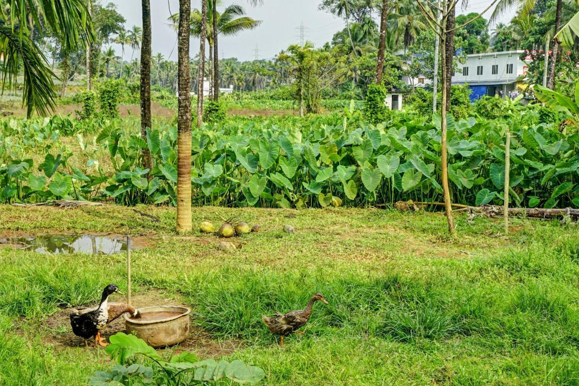 Spot On Shalom Palace Residency Neriyamangalam Ngoại thất bức ảnh